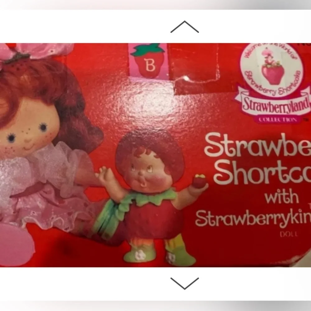 Vintage NRFB strawberry shortcake Berrykin doll